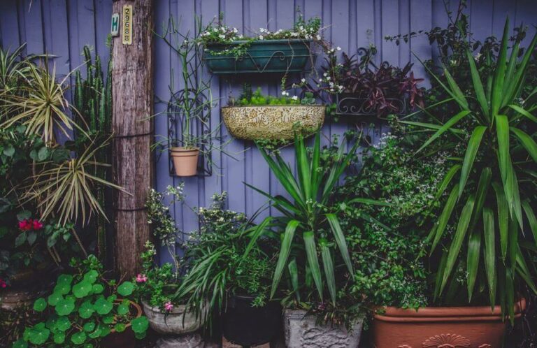 7 ideas to decorate a small garden