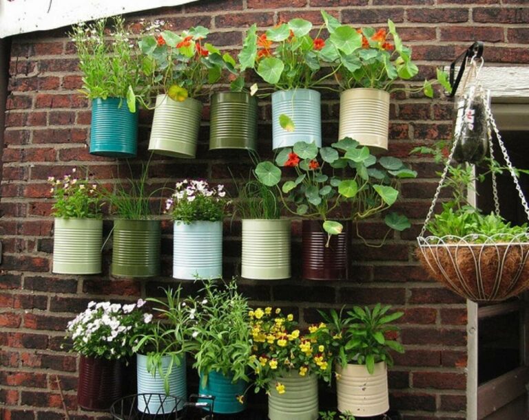 How to make an urban garden in a small space