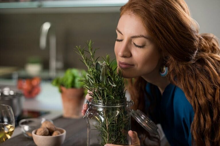 How to plant rosemary, parsley and mint at home