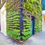How to water a vertical succulent garden? | DIY Tips