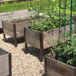 Rebar Safe For Vegetable Gardens