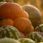 A Pumpkin That Looks Like Watermelon: Is It A Myth Or An Actual Variety?
