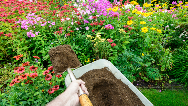 Discover Which Plants Do Not Thrive in Mushroom Compost